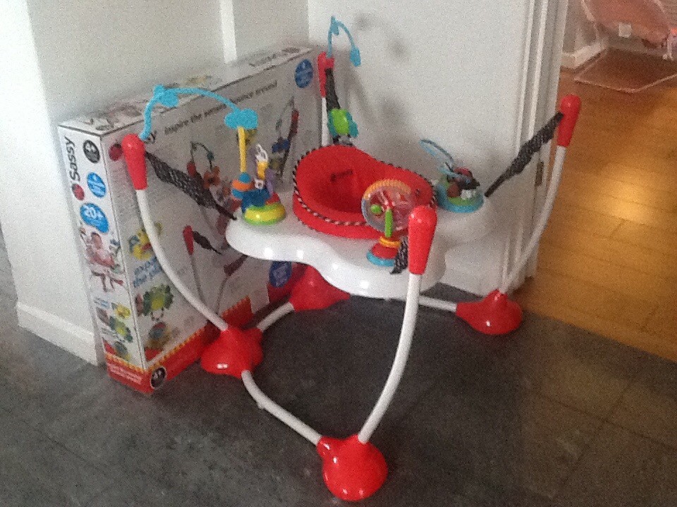 sassy jumperoo